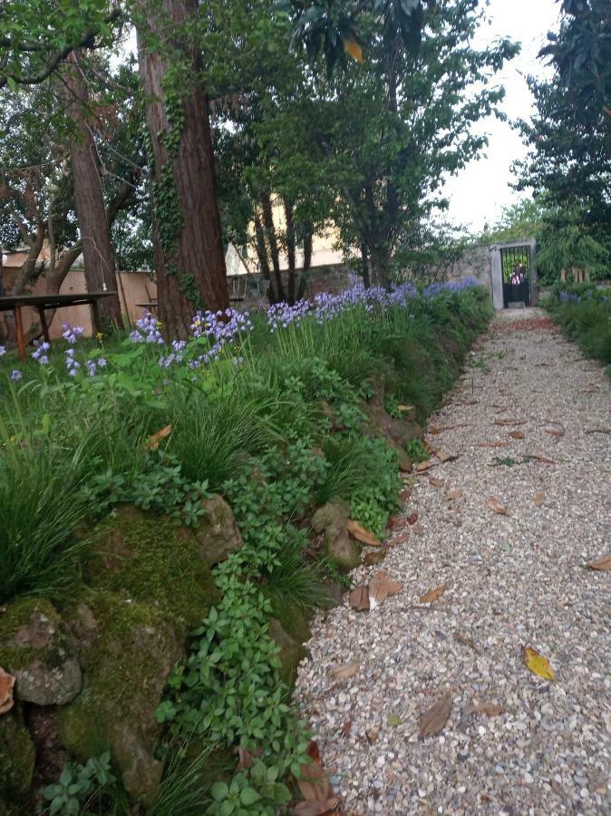 B&B Villa Gualterio Bolsena Extérieur photo